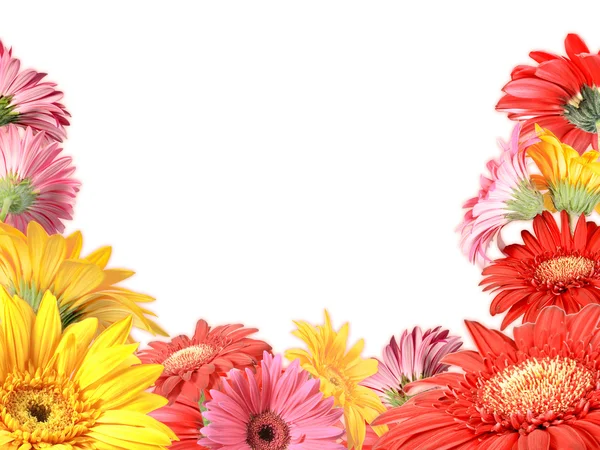 Floral frame met bonte bloemen — Stockfoto