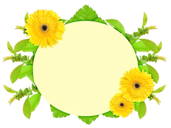 Ramka z żółtymi kwiatami — Zdjęcie stockowe