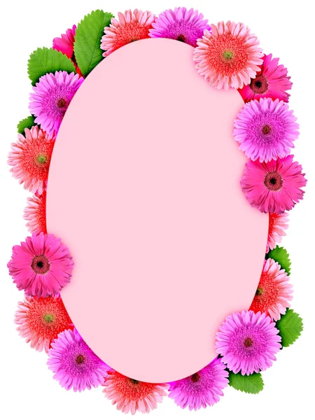 Floral ellipse frame with pink flowers — Stock Photo, Image