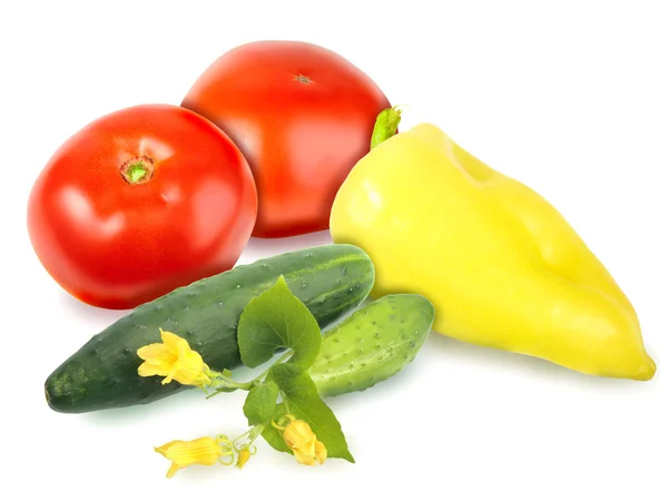 Fresh motley vegetables — Stock Photo, Image