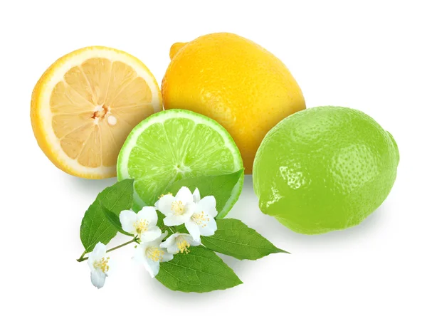 Citrus fruits with branch of jasmine — Stock Photo, Image
