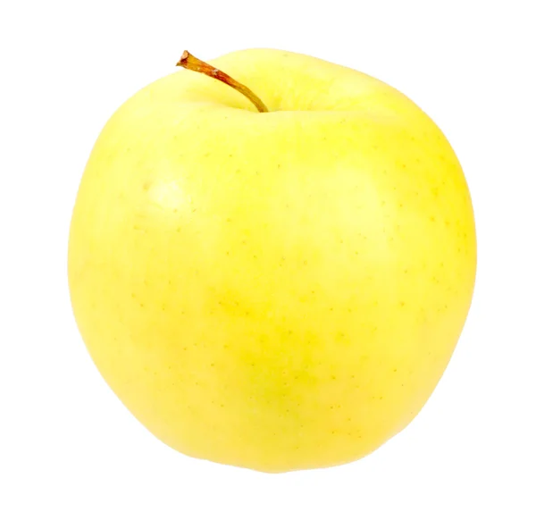 Taze sarı elma — Stok fotoğraf