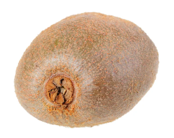 Fresh full fruit of kiwi — Stock Photo, Image
