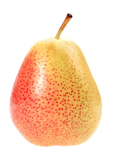 Enda ett orange färska päron — Stockfoto