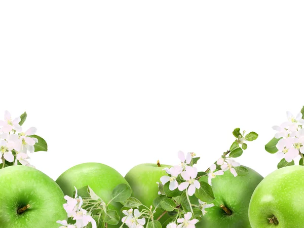 Background with green apples and flowers — Stock Photo, Image
