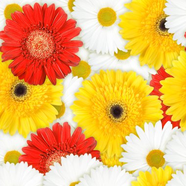 Seamless background of motley flowers clipart