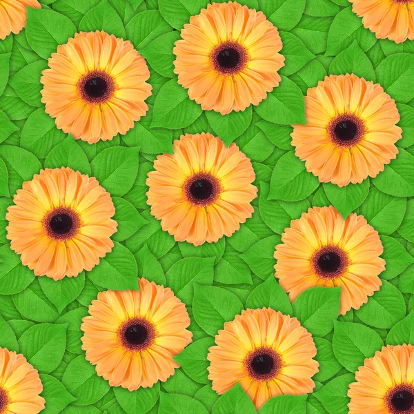 无缝模式的橙色的花朵和叶子 — 图库照片