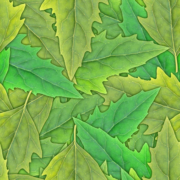 无缝模式的绿色枫叶 — 图库照片