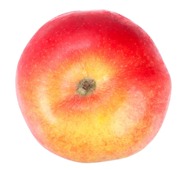Čerstvé jablko červeno žlutá — Stock fotografie