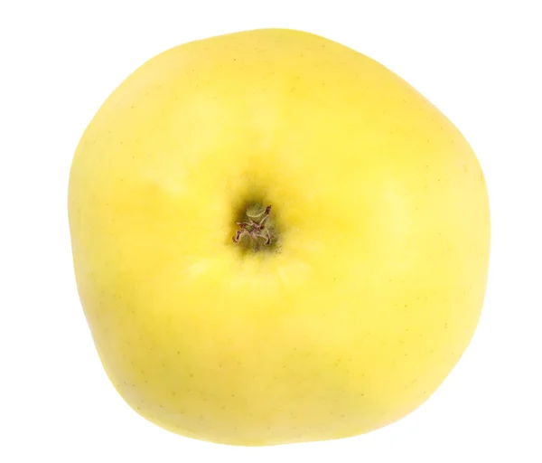 Свіже жовте яблуко — стокове фото