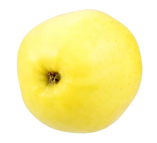 Only fresh yellow big apple — Stock Photo, Image