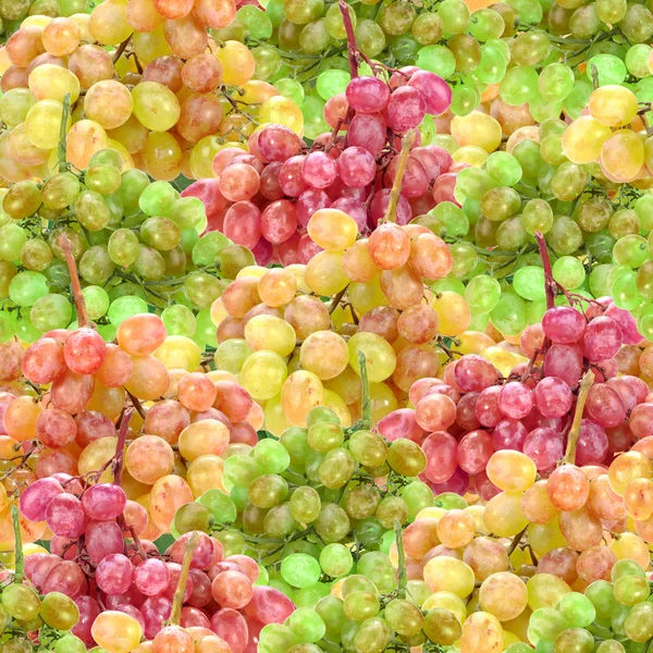 Seamless pattern of fresh ripe motley grape — Stock Photo, Image