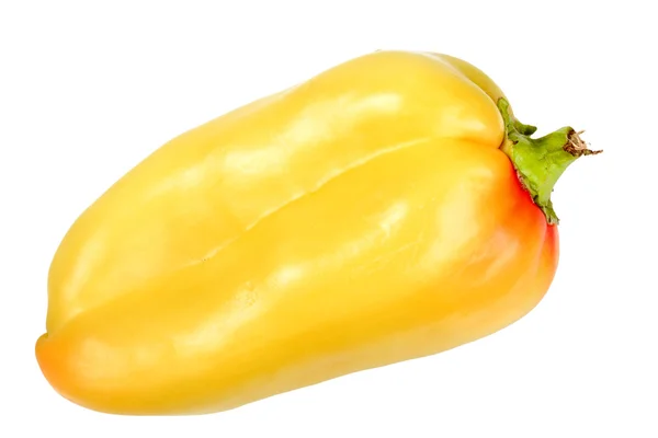 Single orange fresh pepper — Stock Photo, Image