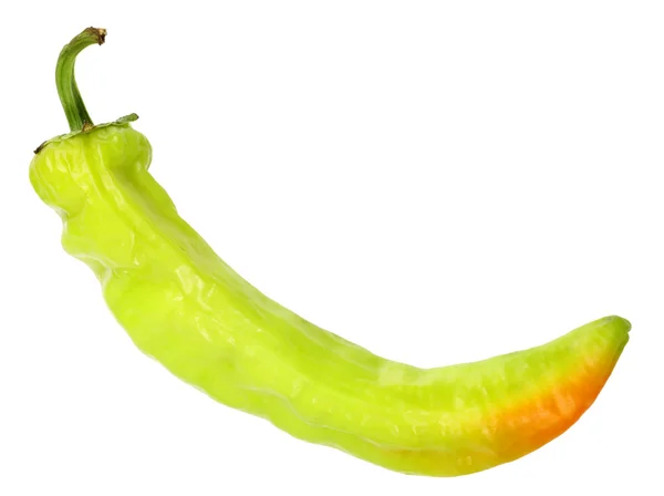 Single green fresh chilli-pepper — Stock Photo, Image