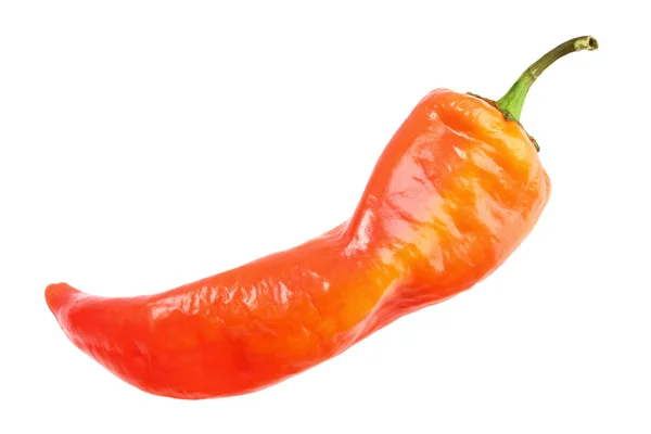 Single red fresh chilli-pepper — Stock Photo, Image