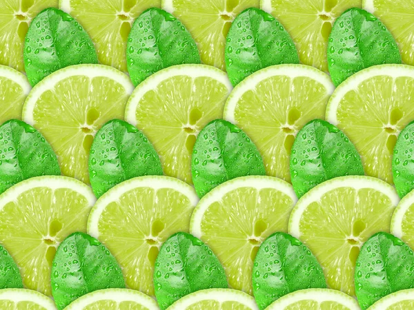 Background of lime slices and green leaf — Stock Photo, Image