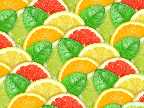 Achtergrond met bonte citrus segmenten en groen blad — Stockfoto