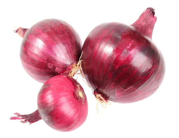 Trzy fioletowy świeżej cebuli — Zdjęcie stockowe