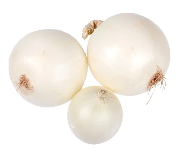 Tři bílé čerstvé cibule — Stock fotografie