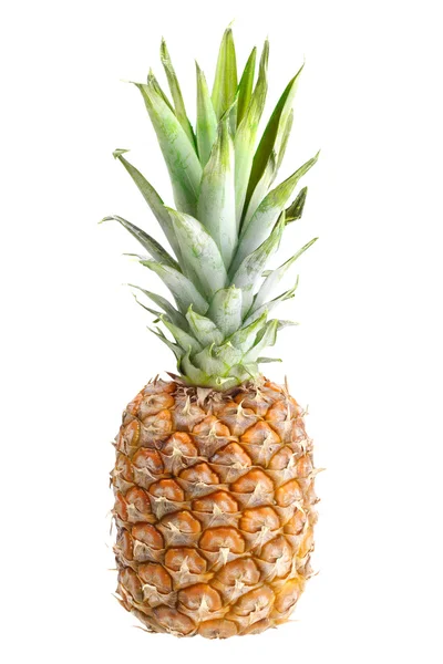 Single fresh pineapple — Stock Photo, Image