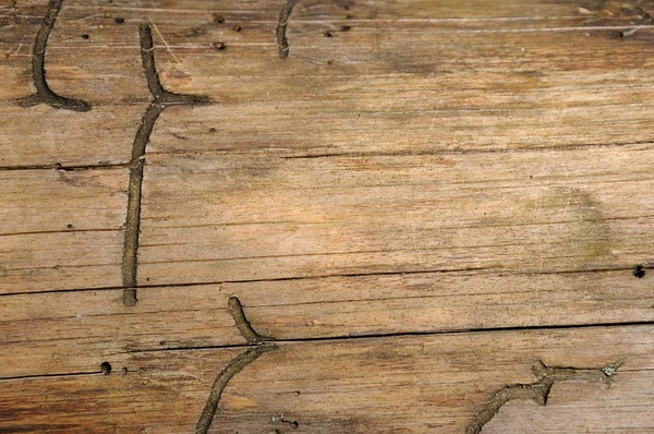 Старий дерев'яний текстури . — стокове фото