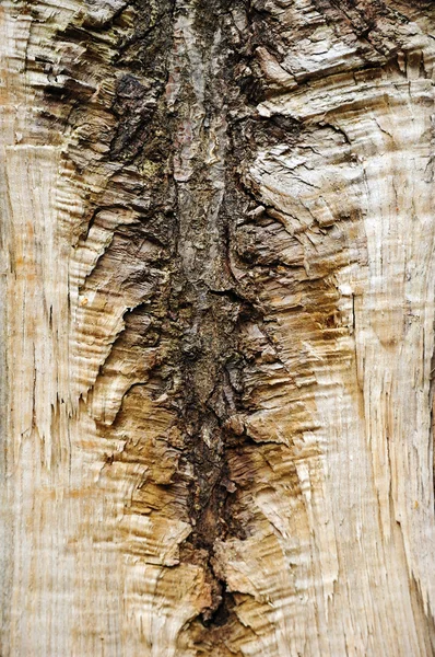 जुन्या लाकडी पोत . — स्टॉक फोटो, इमेज