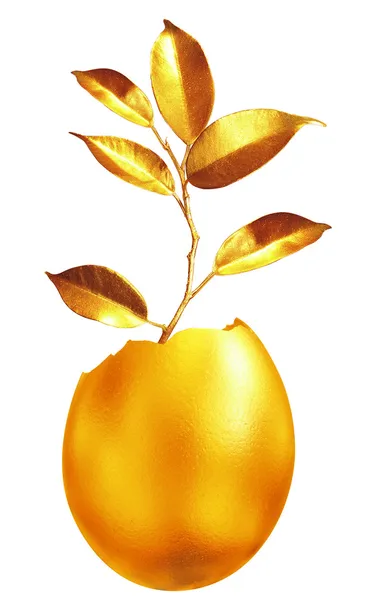 Luxury golden egg. — Stock Photo, Image