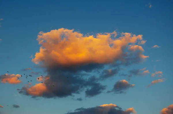 Schöne Wolkenlandschaft — Stockfoto