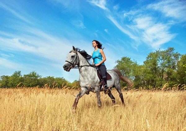 Meisje op een paard — Stockfoto