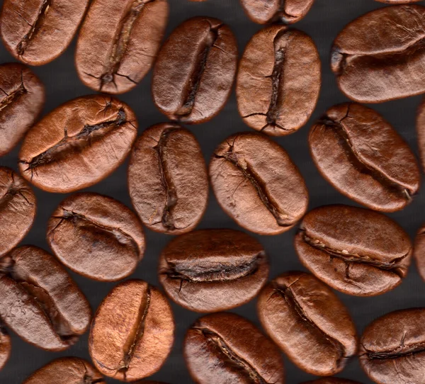 stock image Coffee grains