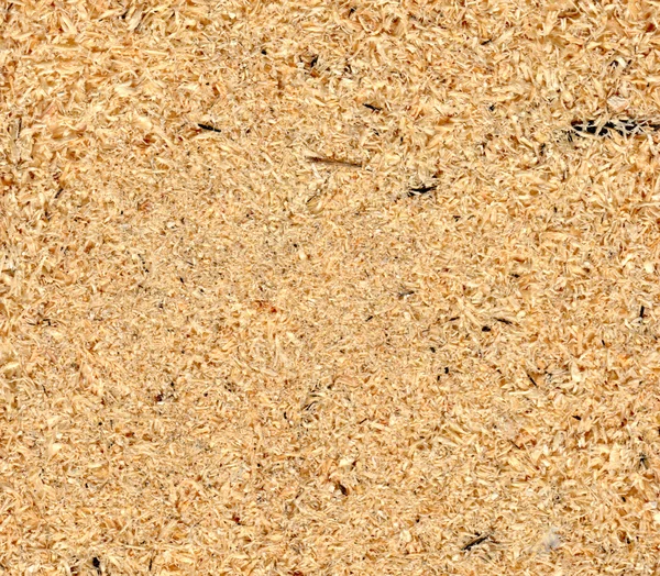 Sawdust texture — Stock Photo, Image