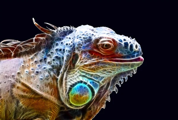 Fraktal dragon — Stok fotoğraf