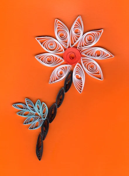 Flower applique with quilling — Stock Photo, Image