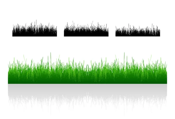 Modèle d'herbe vectorielle — Image vectorielle