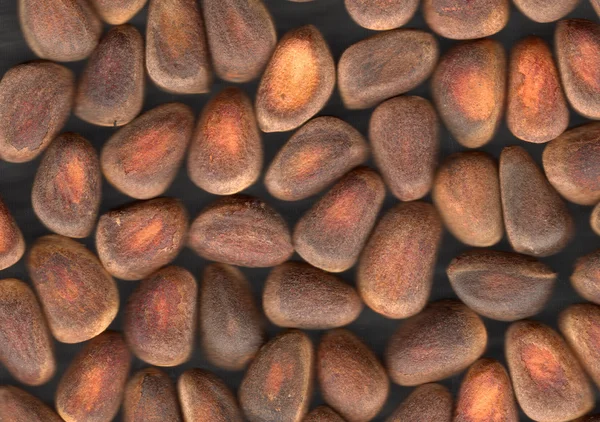 Nötter av siberian cedar tall — Stockfoto