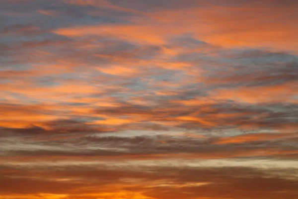 Cielo alba sul mare — Foto Stock