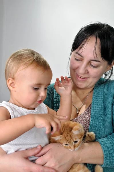 Madre e hija jugando con un gato — Foto de Stock