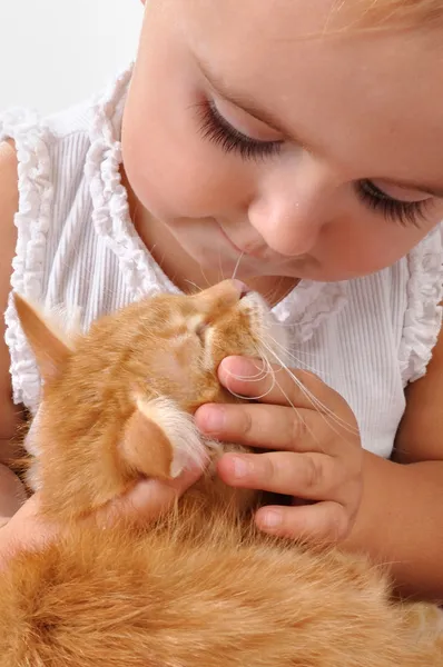 Ребенок играет с котенком — стоковое фото