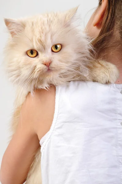 Chilld con un gattino persiano — Foto Stock