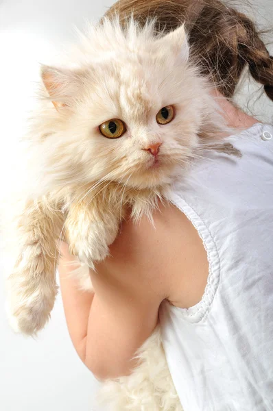 Chilld med en Perser kattunge — Stockfoto
