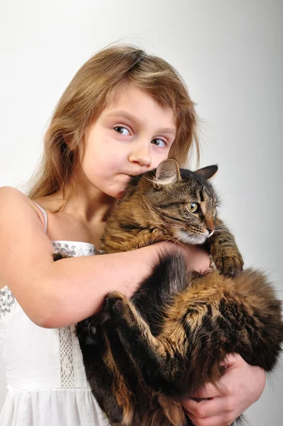 Chilld ile bir kedi yavrusu — Stok fotoğraf