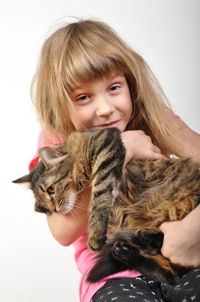 Ребенок с кошкой — стоковое фото