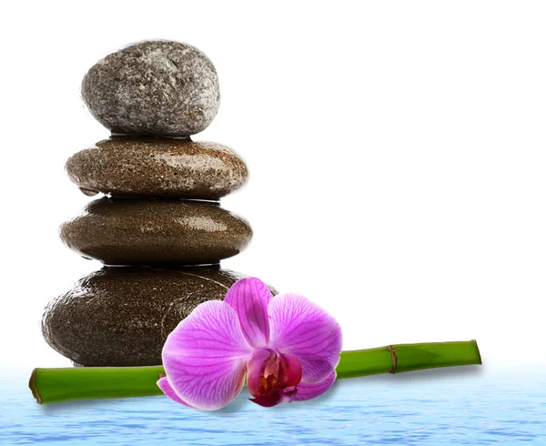 Wellness-Stillleben mit Kieselsteinen und Bambusdampf — Stockfoto