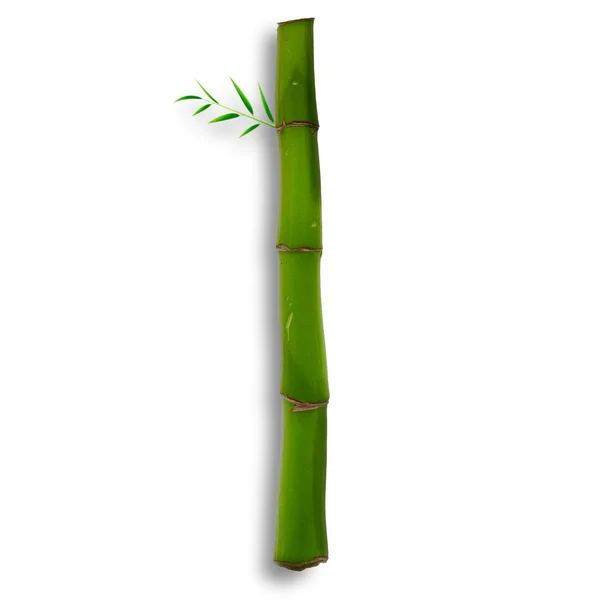 Jedna litera alfabetu bambusa z cienia na białym — Zdjęcie stockowe