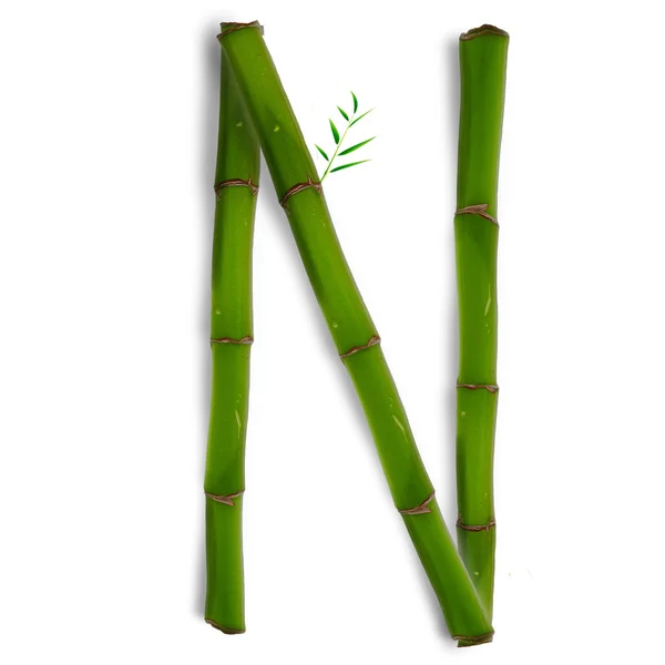 Одна велика літера бамбукового алфавіту з тіні над білим — стокове фото