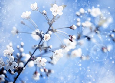 Apple tree with flowers under blue skies. clipart