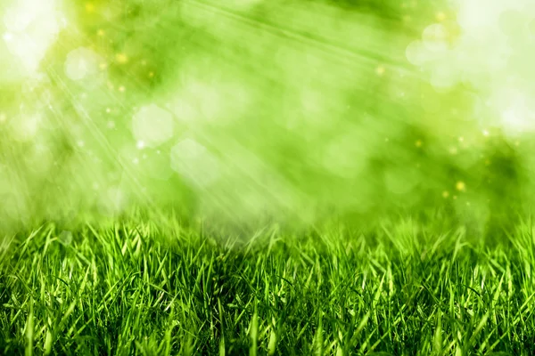 Abstrakte Sommer Hintergründe mit grünem Gras und Bokeh — Stockfoto