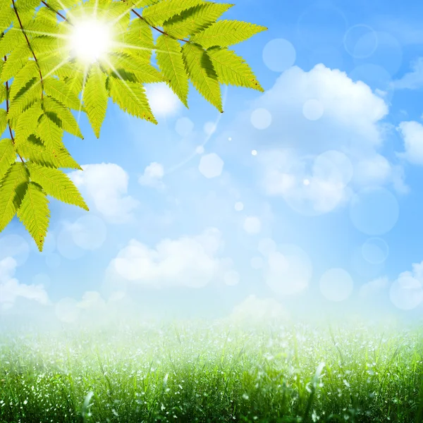 Under the blue skies. Abstract spring and summer backgrounds — Stock Photo, Image