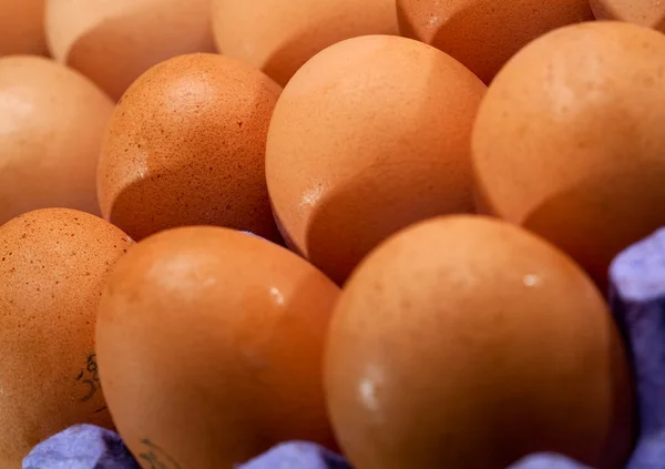 Bandeja con muchos huevos crudos frescos —  Fotos de Stock