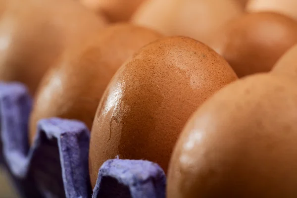 Zásobník se spoustou čerstvých syrových vajec — Stock fotografie